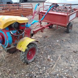 MULA MECANICA CON REMOLQUE TRUSS (1)