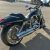 HARLEY DAVISON V-ROOD (4)