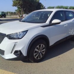PEUGEOT 2008 1.5 HDI 115 CV (1)