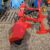 rotavator intercepas (3)