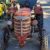 TRACTOR HURLIMANN (5)