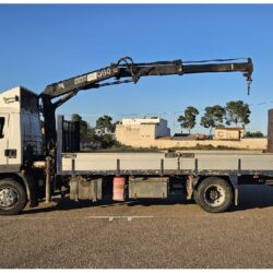 DAF 210 CV CON PLUMA Y CAJA PORTA MAQUINARIA (1)