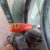 KUBOTA 8200 MARROW CON ATOMIZADOR (7)