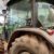 DEUTZ 5100 CON CABINA (4) DEUTZ 5100 CON CABINA (4)