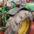 JOHN DEERE 5515 F (4) JOHN DEERE 5515 F (4)