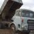 CAMION LEYLAND (3) CAMION LEYLAND (3)
