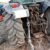 NEW HOLLAND T4050 CON CABINA (5) NEW HOLLAND T4050 CON CABINA (5)